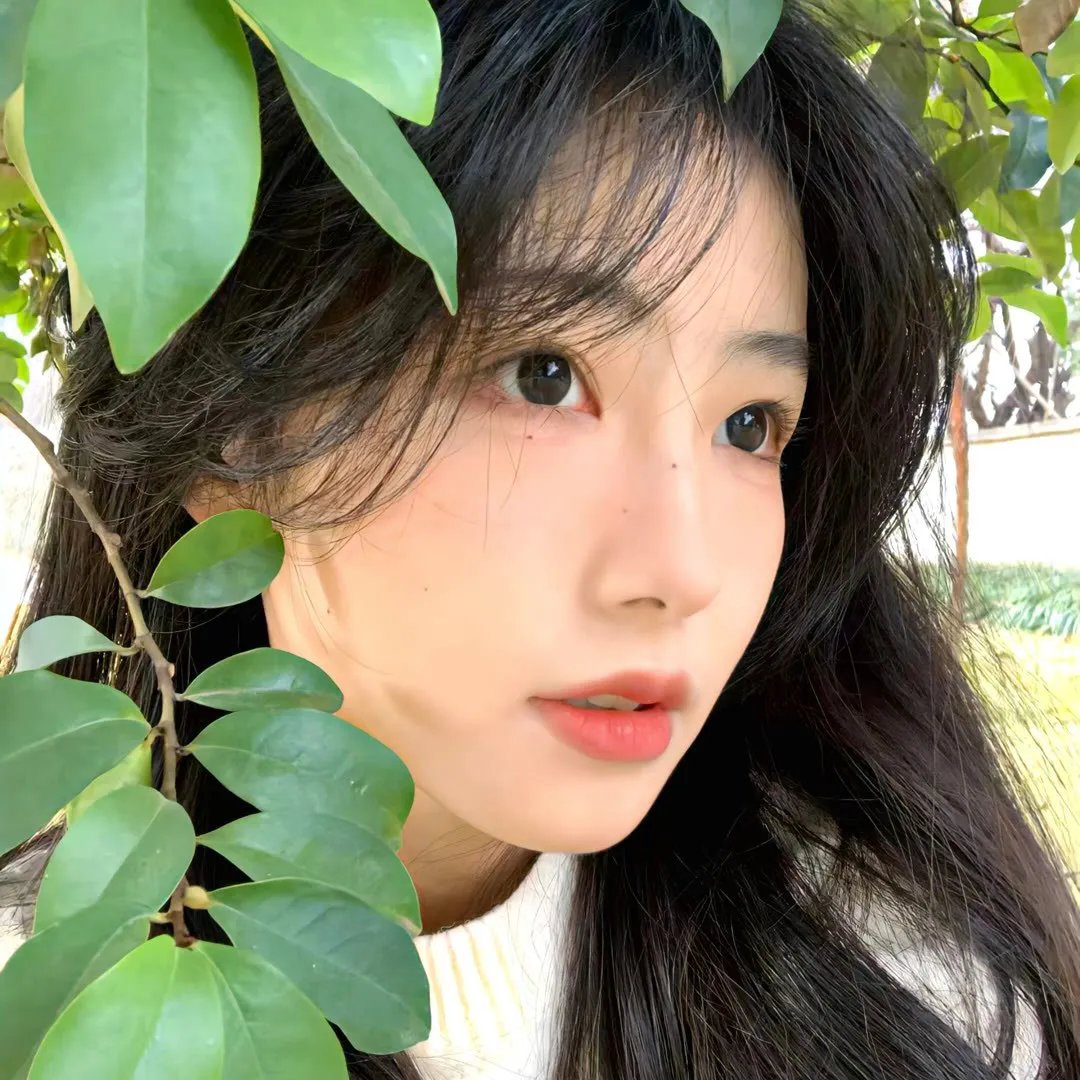 小家伙