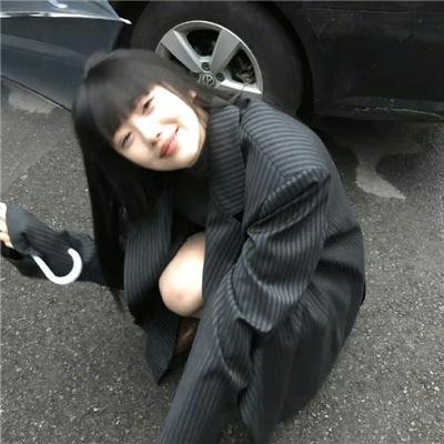 斑马头
